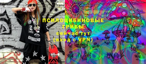 ECSTASY Осинники
