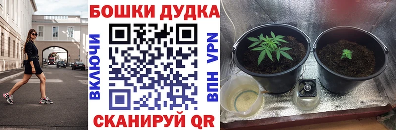 Купить  Ершов  Бошки Шишки план 